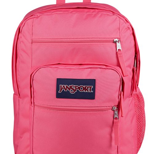 Big Student