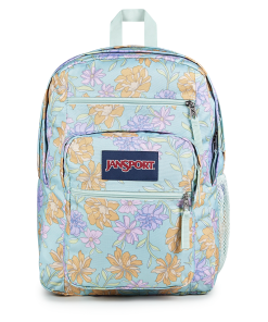 Big Student
