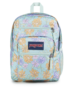 Big Student